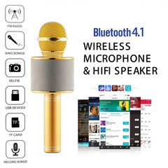 Wireless Microphone 3655902