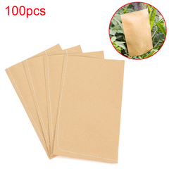 Kraft Paper Seed Protective Envelope Storage Bags 3663701