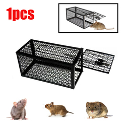 Mouse Trap Rat Traps Pest Control 2026201