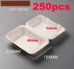 Food Containers Takeaway Box 250pcs 2042402*2042402+250